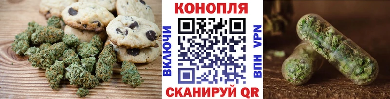как найти   Палласовка  Canna-Cookies конопля 