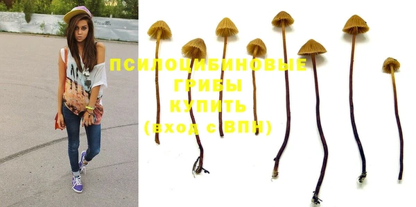 ALPHA PVP Армянск